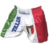 FIGHT-FIT - Muay Thai Shorts / Italien / Stemma / Large