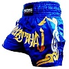 FIGHTERS - Muay Thai Shorts / Blau-Gold / Small